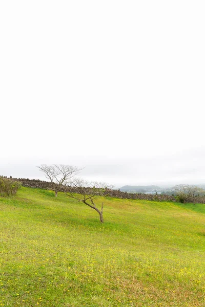 Sangumburi Crater Scenic Landscape Jeju Island Korea — Foto Stock