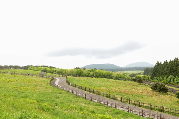 Sangumburi Crater Scenic Landscape Jeju Island Korea — стоковое фото