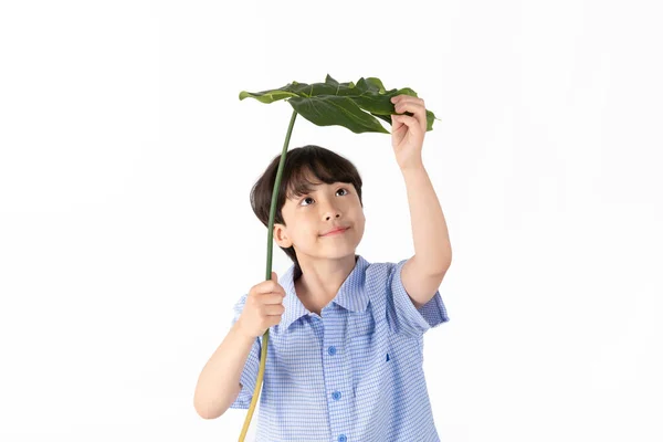 Beyaz Arka Planda Mavi Kollu Tişört Giyen Koreli Genç Çocuk — Stok fotoğraf