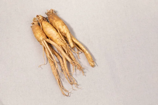 Oriental Planta Raíz Medicinal Ginseng Fresco —  Fotos de Stock