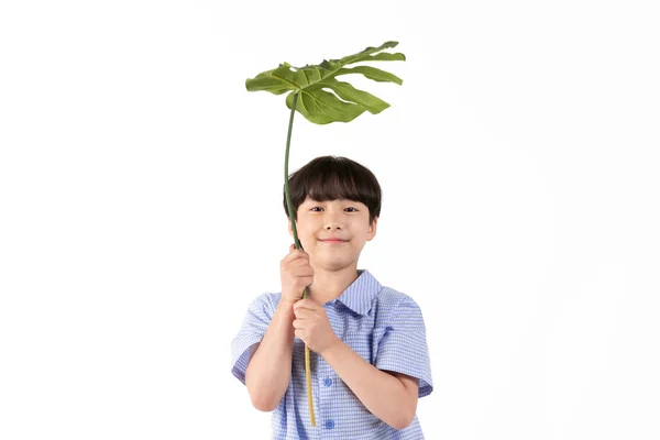 Beyaz Arka Planda Mavi Kollu Tişört Giyen Koreli Genç Çocuk — Stok fotoğraf