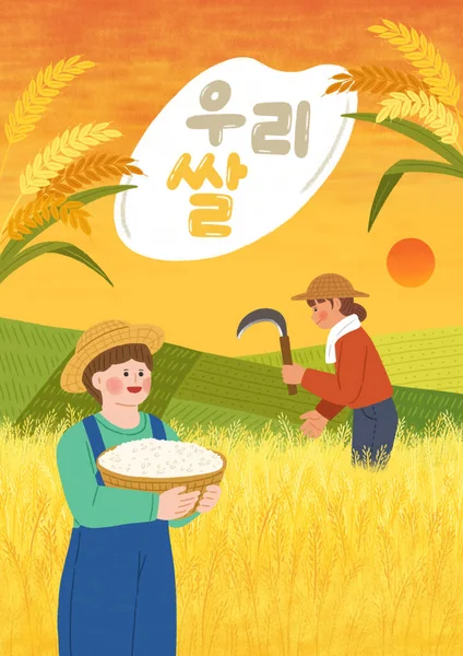 Korejský Regionální Produkt Rýže — Stockový vektor