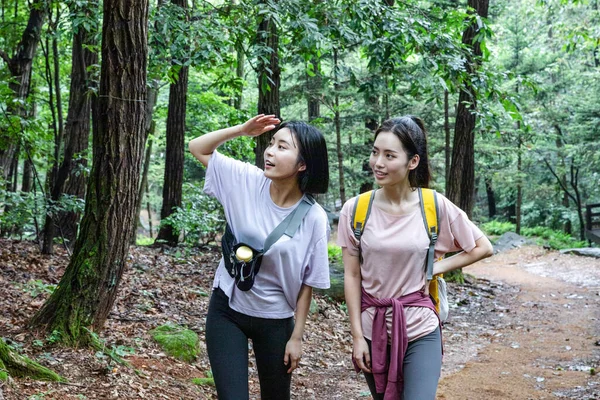 Koreanska Unga Kvinnor Vandring Och Plogging Trekking Mountain — Stockfoto