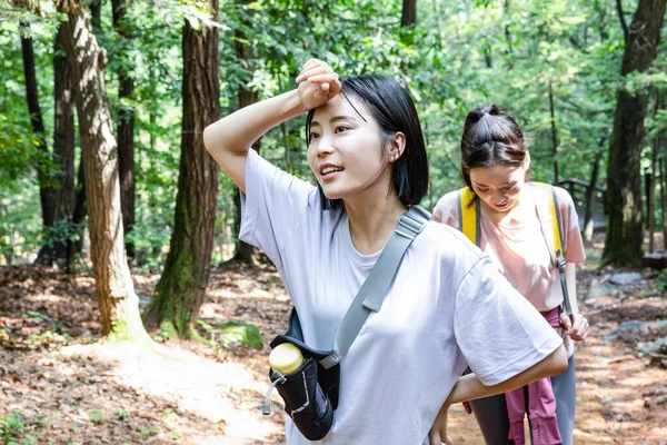 Coreano Jovens Mulheres Caminhadas Plogging Trekking Montanha — Fotografia de Stock