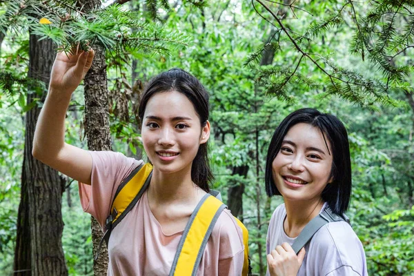 Korean Young Women Hiking Plogging_Trekking Mountain — Stock Photo, Image