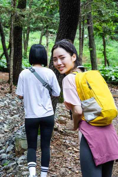 Κορεάτισσες Νέες Γυναίκες Πεζοπορία Και Pilogging Trekking Βουνό — Φωτογραφία Αρχείου
