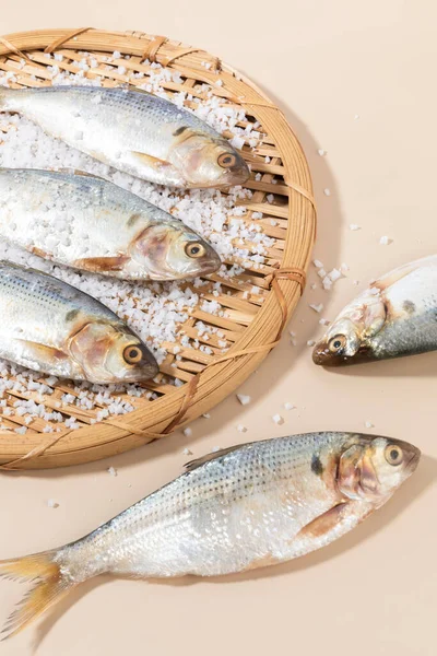 Salt Gizzard Shad Fish Close View — Stock Photo, Image