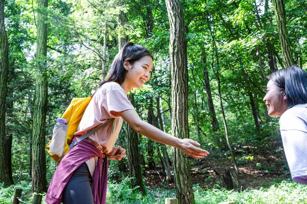 Korean Young Women Hiking Plogging_Trekking Mountain — Stock Photo, Image