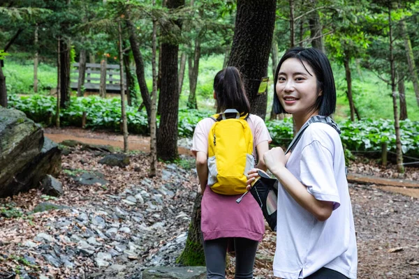 Coreano Jovens Mulheres Caminhadas Plogging Trekking Montanha — Fotografia de Stock