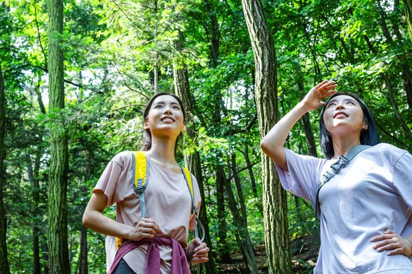 Coreano Jovens Mulheres Caminhadas Plogging Trekking Montanha — Fotografia de Stock