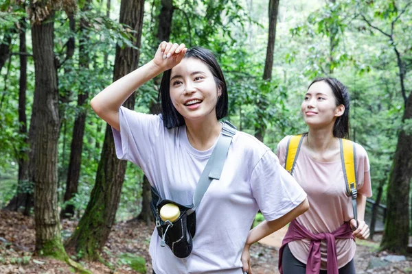 Coreano Jovens Mulheres Caminhadas Plogging Trekking Montanha — Fotografia de Stock