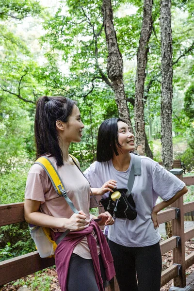 Mujeres Jóvenes Coreanas Senderismo Plogging Trekking Montaña — Foto de Stock