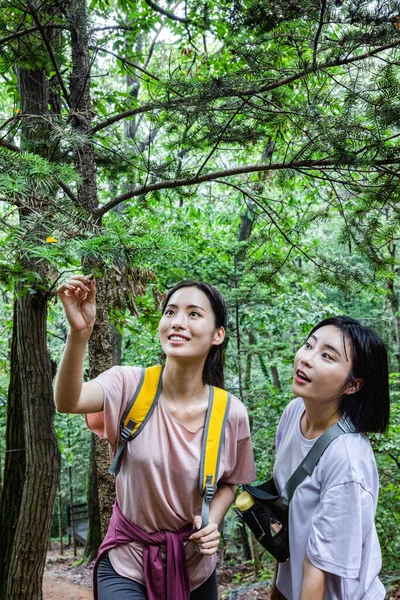 Coreano Jovens Mulheres Caminhadas Plogging Trekking Montanha — Fotografia de Stock