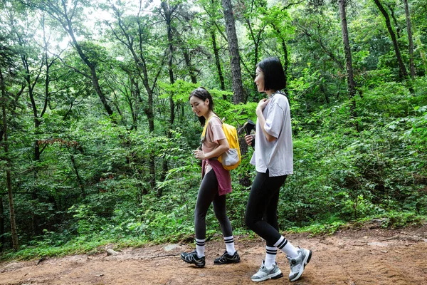 Coreano Jovens Mulheres Caminhadas Plogging Trekking Montanha — Fotografia de Stock