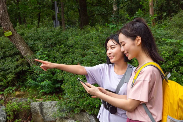 Coreano Jovens Mulheres Caminhadas Plogging Find Direções Usando Smartphone — Fotografia de Stock