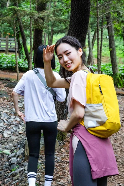 Koreai Fiatal Nők Túrázás Plogging Trekking Hegy — Stock Fotó