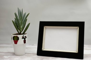 Tahta taban ve gri arkaplanda boş çerçeve ile süslenmiş küçük saksı bitkisi