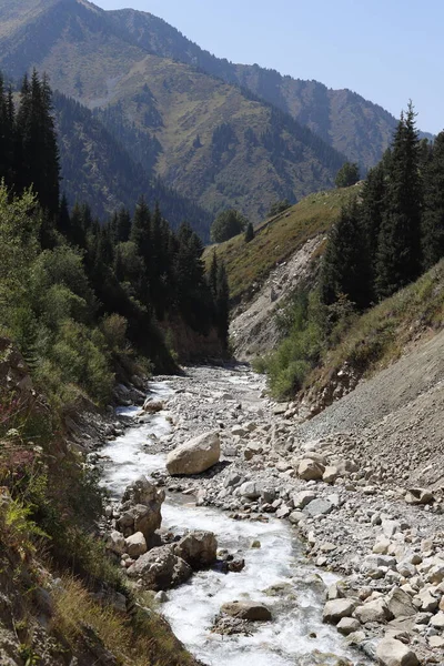 Dağlarda dolambaçlı bir nehir