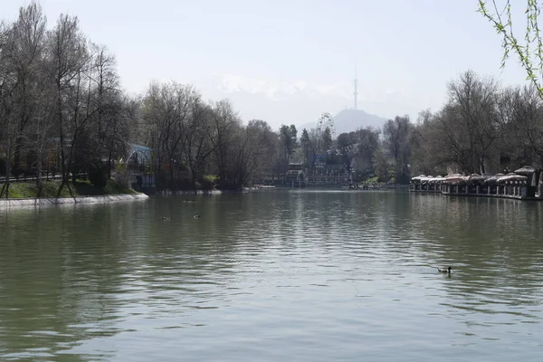 Eğlence parkında güzel bir göl                                        
