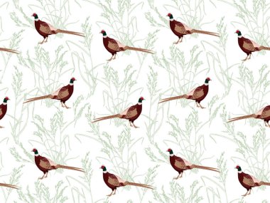 Elle çizilmiş sülün ve bitkilerle kusursuz desenler, beyaz arka planda çimenler.