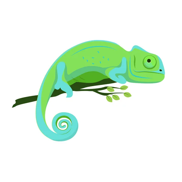 Modrozelený chameleon sedící na větvi na bílém pozadí, vektorová ilustrace. — Stockový vektor