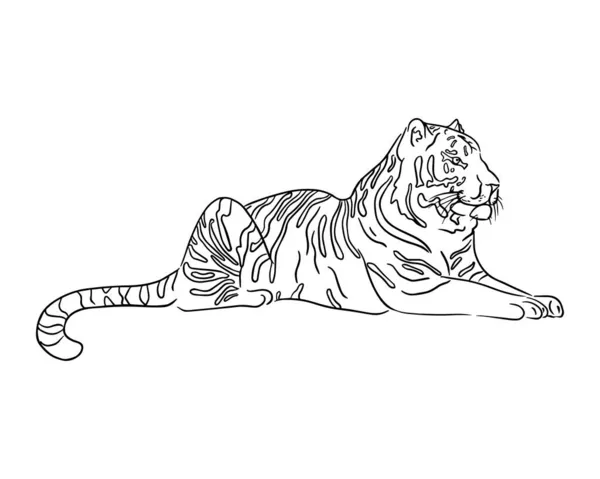 Freehand Drawing Lying Tiger Ready Jump Sketch Vector Illustration — Stock Vector