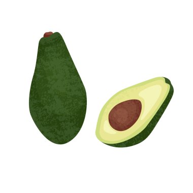 Gerçekçi vektör illüstrasyonunun tamamı ve beyaz arkaplanda izole edilmiş avokadoyu kes.