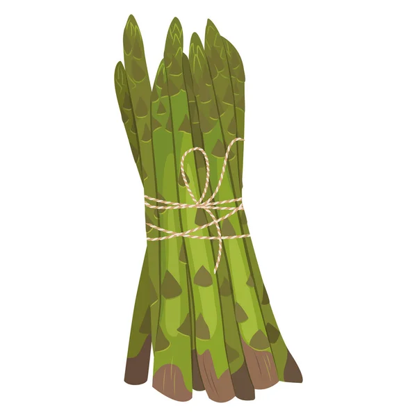 Vector illustration of asparagus vegetable stem. Bunch of fresh green asparagus sprout. Vegetable illustration for farm, market, menu, healthy food, dieting. — Vetor de Stock