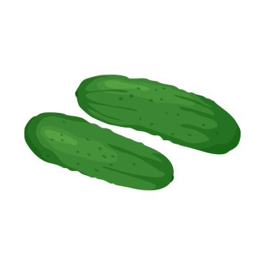 Taze salatalığın vektör çizimi. Sebze izole edilmiş ikon. Çiftlik pazarı için düz stil salatalık