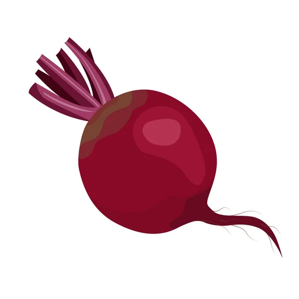 Ripe red beets. Vector illustration for card banner sticker poster in flat style — Vetor de Stock