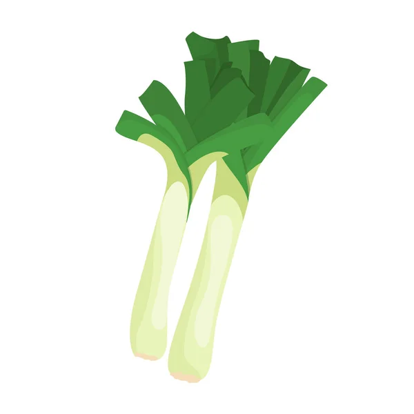 Vector illustration of leek in cartoon style. Farm fresh veggie just from the garden. Healthy food design. Organic eco vegetable for salads. — 图库矢量图片