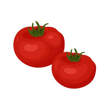 Realistic tomato in a flat style isolated on white background. Organic eco vegetable for salads. Vector illustration of natural product tomato.