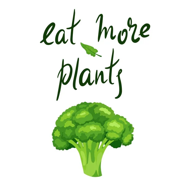 Inspirerande citat: Ät mer växter. Friska livsmedel. Hand bokstäver motivation illustration för din design med grön grönsaksbroccoli — Stock vektor