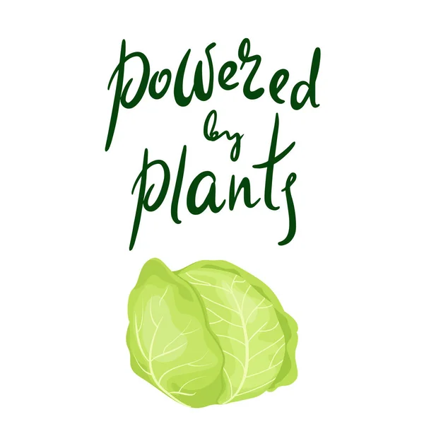 Inspirerande citat: Drivs av växter. Friska livsmedel. Hand bokstäver motivation illustration för din design med grön grönsak kål — Stock vektor