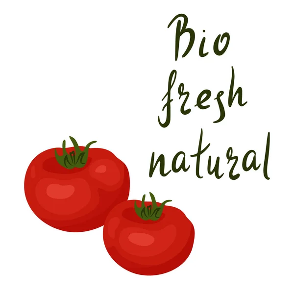 Inspirerande citat: Bio, fräsch, naturlig. Friska livsmedel. Hand bokstäver motivation illustration för din design med röda grönsaker tomat — Stock vektor