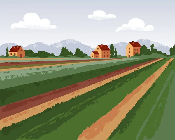 Paysage Estival Rural Campagne Avec Collines Village Champ Agricole Illustration — Image vectorielle