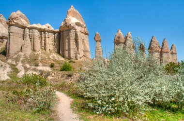 Cappadocia Kanyonu 'nda kumtaşının etkileyici mantar formları.