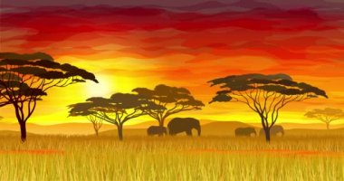 African safari animated loop 4K video with cloudy orange sunset. Perfect for travel agencies advertizing