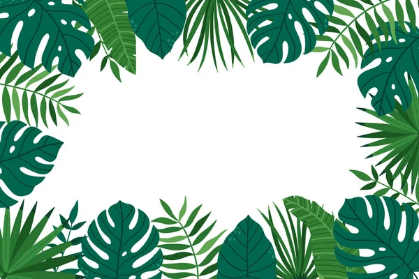 Rama Jasnych Tropikalnych Roślin Ręcznie Rysowane Liście Potworów Palm Wektor Ilustracja Stockowa