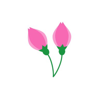 Basit ve düz tomurcuk çizimi materyali