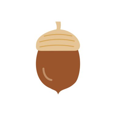 Meşe palamudunun basit ve düz çizimi