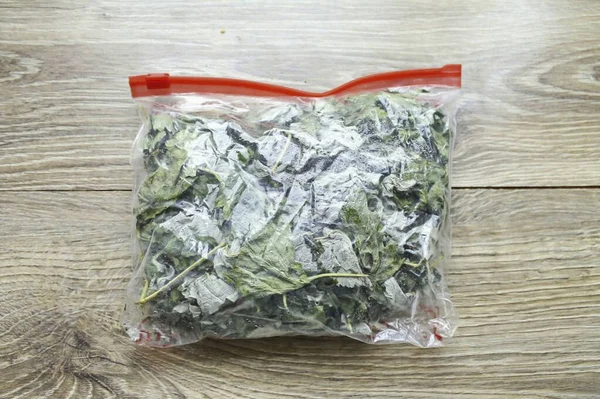 Transfer Withered Leaves Bag Close Place Freezer Two Days While — Foto Stock