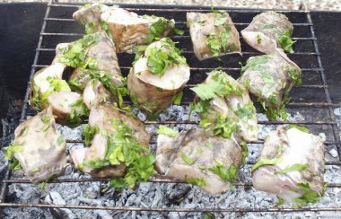 Kömür griye döndüğünde, balığı ızgaraya koy. 20-30 dakika boyunca kızarır, ara sıra döner. Izgaradaki pişirme süresi hava koşullarına ve kömürlerin kalitesine bağlıdır..