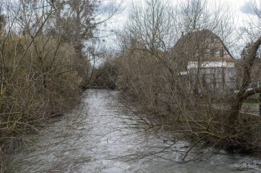 Trees in winter leaning over the river. The river Zorn in its crossing of Brumath in the north of Strasbourg. The willows growing on the banks cover the water.