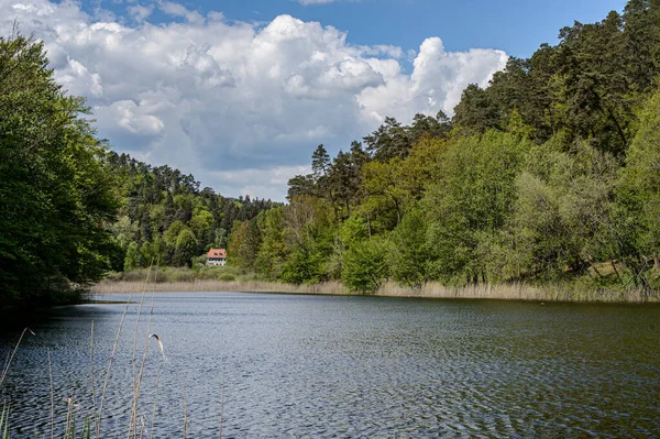 Pond Wineckerthal Forest House Small Pond Wineckerthal Surrounded Hills Whose — Stock Photo, Image