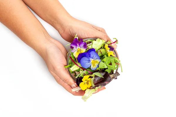 Vrouwelijke Handen Houden Een Glazen Schaal Met Sla Bladeren Arugula — Stockfoto