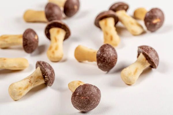 Cogumelos Biscoitos Com Chocolate Escuro Fundo Branco — Fotografia de Stock