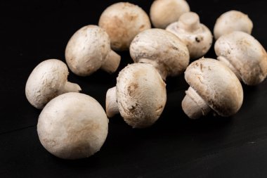 Siyah arka planda bütün mantarlar