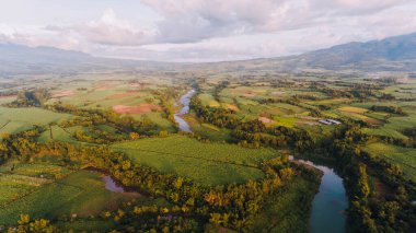 Murcia 'da İkiz Nehirler Birleştirildi, Zenciler Batılı