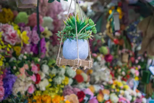 Nın Çiçek Pazarı Nda Bitki Satıcısı Nda Asılı — Stok fotoğraf